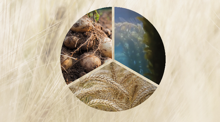 Texturizantes naturales